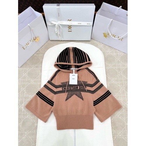 DIOR 2025SS Alpine Ski Hoodie - Orange