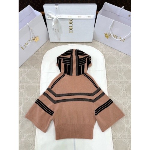 DIOR 2025SS Alpine Ski Hoodie - Orange