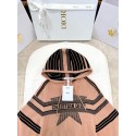 DIOR 2025SS Alpine Ski Hoodie - Orange DIOR 2025SS Alpine Ski Hoodie - Orange