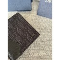 DIOR Grained Calfskin Marquetry & Black Oblique Jacquard - Black