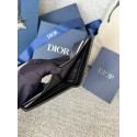 DIOR Grained Calfskin Marquetry & Black Oblique Jacquard - Black