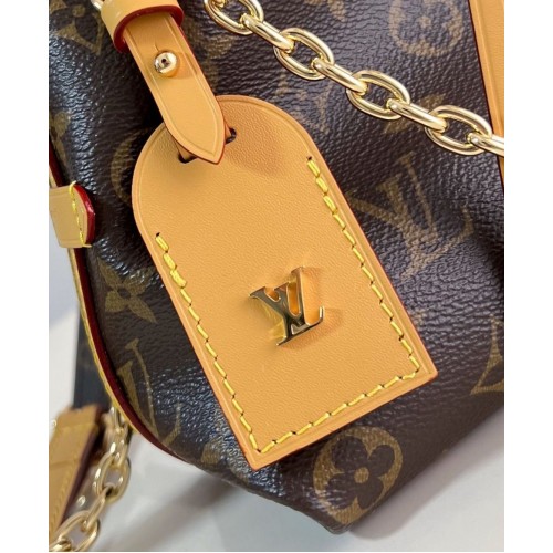 LV CarryAll BB - Monogram