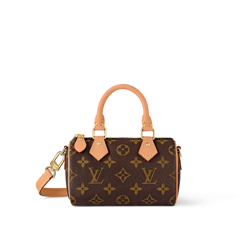 LV Nano Speedy - Monogram