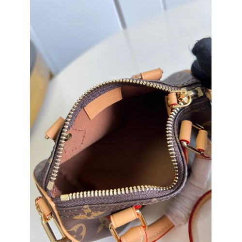 LV Nano Speedy - Monogram